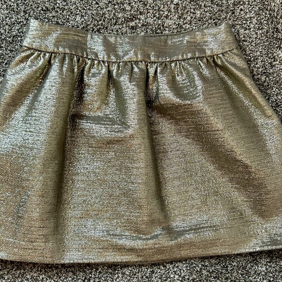 Banana Republic Heritage shiny full mini-skirt, size 8 - Picture 2 of 5